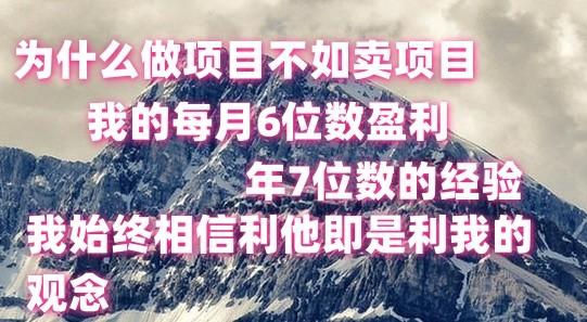 做项目不如卖项目，每月6位数盈利，年7位数经验-皮皮网创