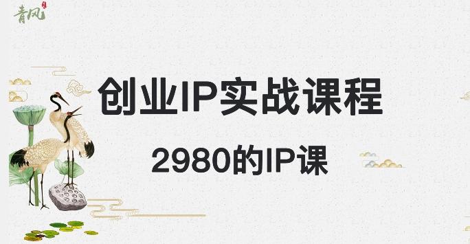 外边卖2980的创业IP课程，做私域月入5w+-皮皮网创