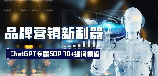 品牌营销新利器：ChatGPT专属SOP，70+提问模板【文档】-皮皮网创