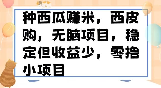 种西瓜赚米，西皮购稳定长久零撸小项目-皮皮网创