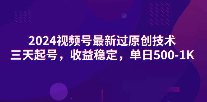 (9505期)2024视频号最新过原创技术，三天起号，收益稳定，单日500-1K-皮皮网创
