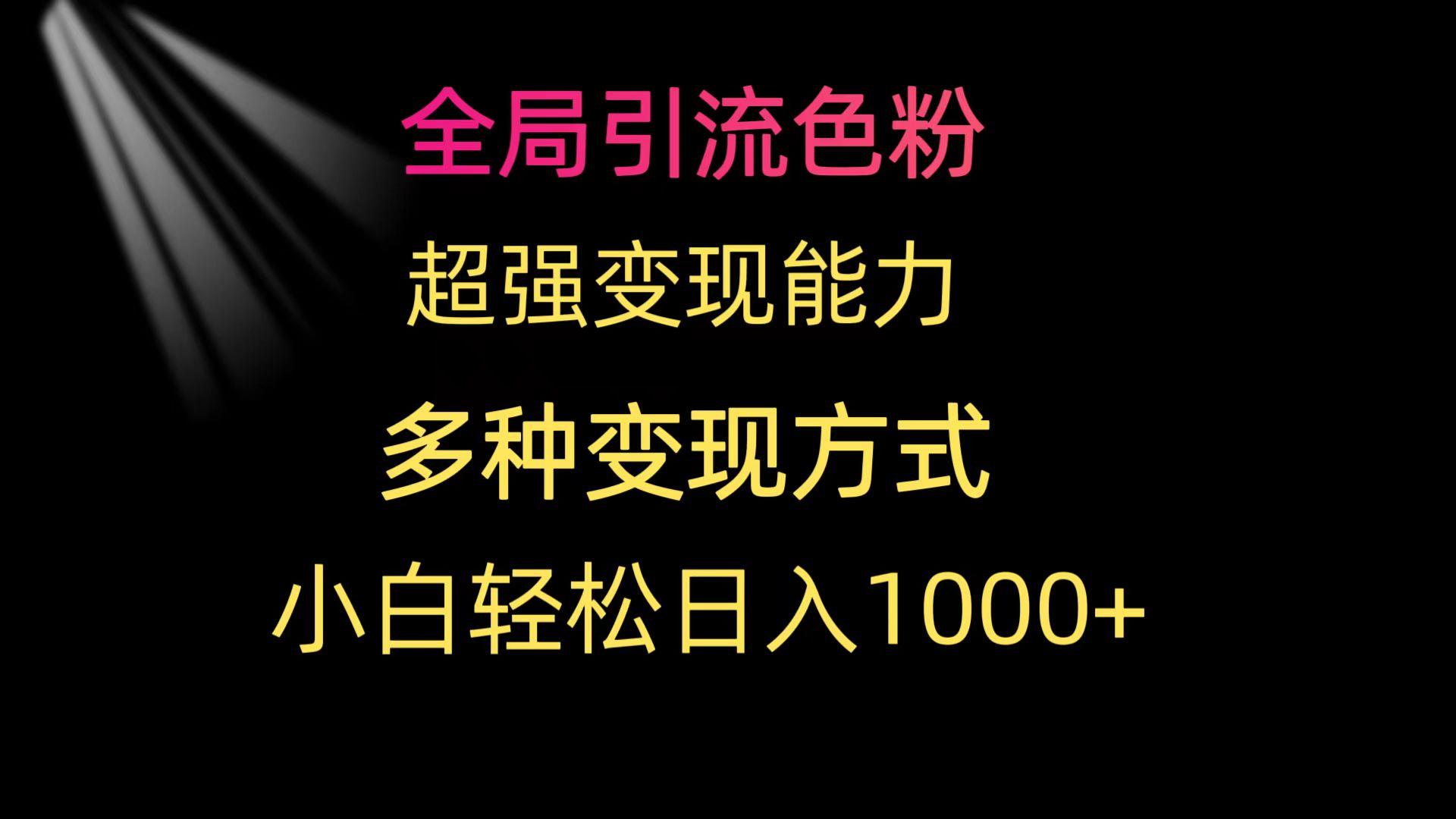 (9680期)全局引流色粉 超强变现能力 多种变现方式 小白轻松日入1000+-皮皮网创