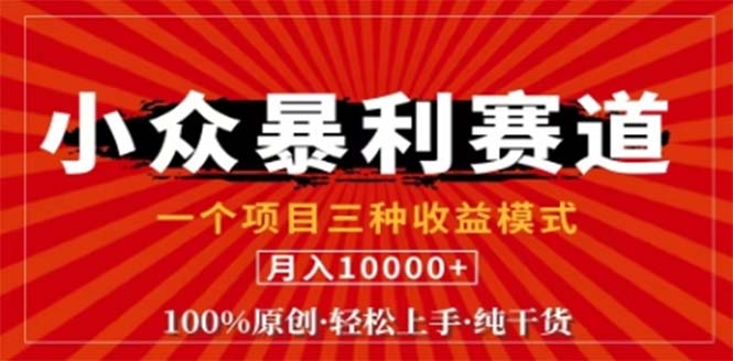 视频号最新爆火赛道，三种可收益模式，0粉新号条条原创条条热门 日入1000+-皮皮网创