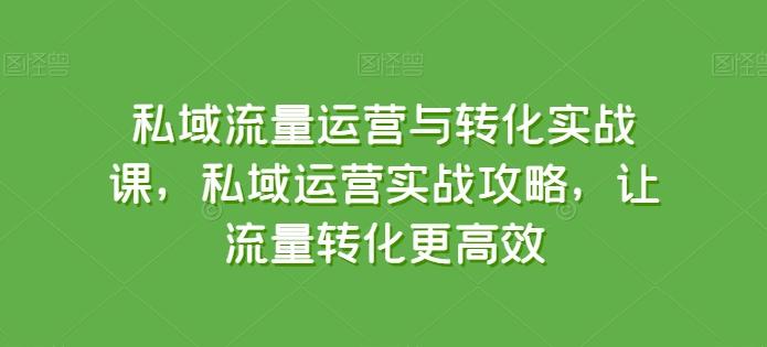私域流量运营与转化实战课，私域运营实战攻略，让流量转化更高效-皮皮网创
