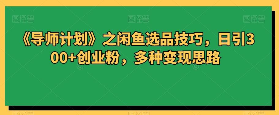 《导师计划》之闲鱼选品技巧，日引300+创业粉，多种变现思路-皮皮网创