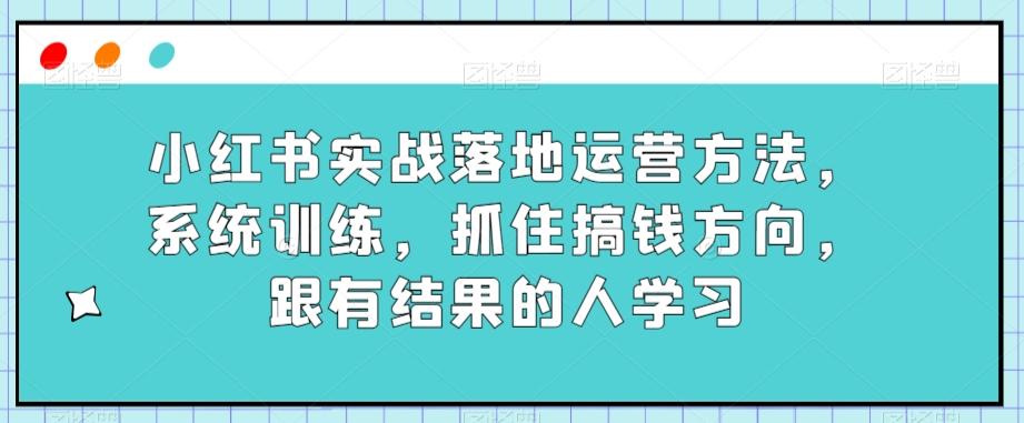 小红书实战落地运营方法，系统训练，抓住搞钱方向，跟有结果的人学习-皮皮网创
