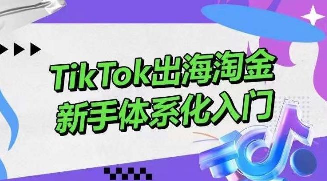 TikTok出海淘金，新手体系化入门，零基础快速入门，掌握短视频、直播带货等引流到变现的知识-皮皮网创