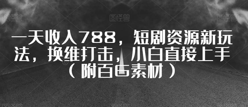 一天收入788，短剧资源新玩法，换维打击，小白直接上手（附百G素材）【揭秘】-皮皮网创