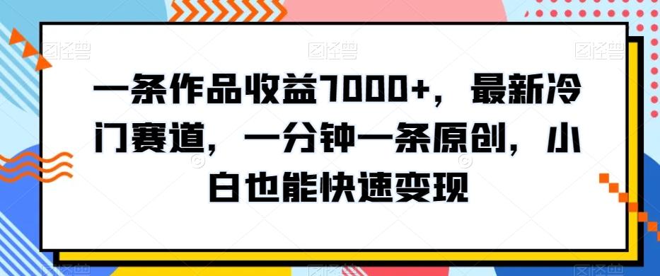 一条作品收益7000+，最新冷门赛道，一分钟一条原创，小白也能快速变现-皮皮网创
