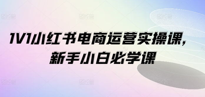 1V1小红书电商运营实操课，新手小白必学课-皮皮网创