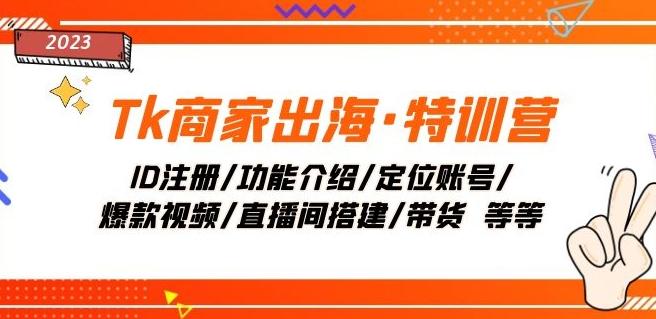Tk商家出海·特训营：ID注册/功能介绍/定位账号/爆款视频/直播间搭建/带货-皮皮网创