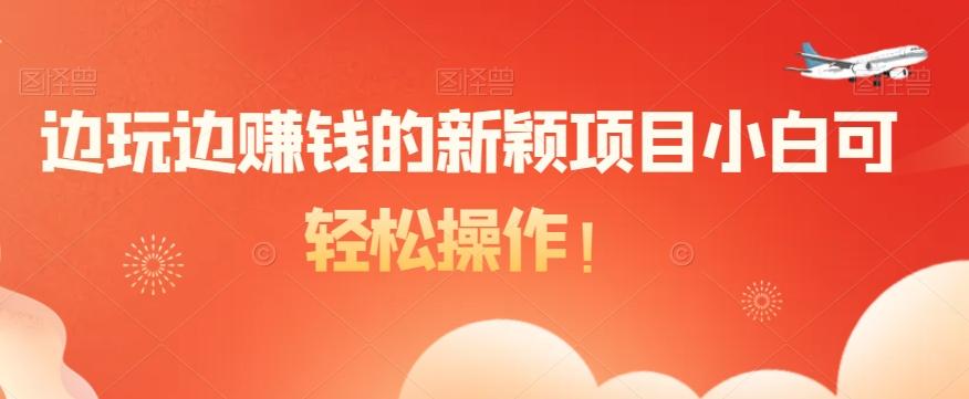 边玩边赚钱的新颖项目小白可轻松操作！-皮皮网创
