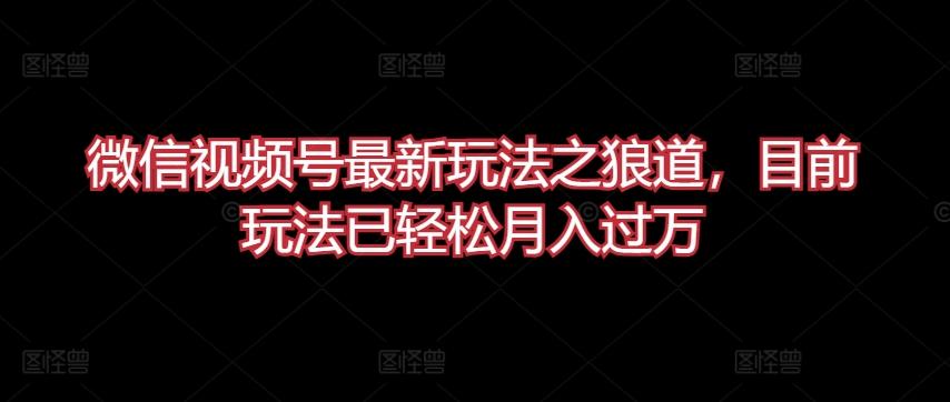 微信视频号最新玩法之狼道，目前玩法已轻松月入过万【揭秘】-皮皮网创