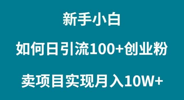 (9556期)新手小白如何通过卖项目实现月入10W+-皮皮网创