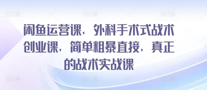 闲鱼运营课，外科手术式战术创业课，简单粗暴直接，真正的战术实战课-皮皮网创