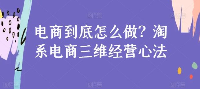 电商到底怎么做？淘系电商三维经营心法-皮皮网创