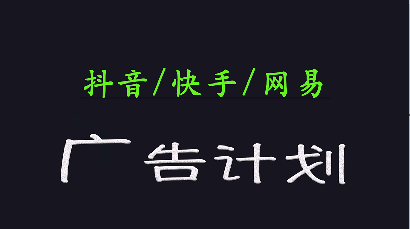 图片[1]-2025短视频平台运营与变现广告计划日入1000+，小白轻松上手-皮皮网创