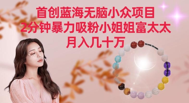 首创蓝海无脑小众项目，2分钟暴力吸粉小姐姐富太太，月入几十万【揭秘】-皮皮网创