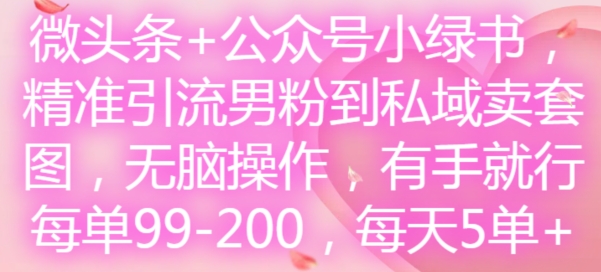 微头条+公众号小绿书，精准引流男粉到私域卖套图，无脑操作，有手就行，每单99-200，每天5单-皮皮网创