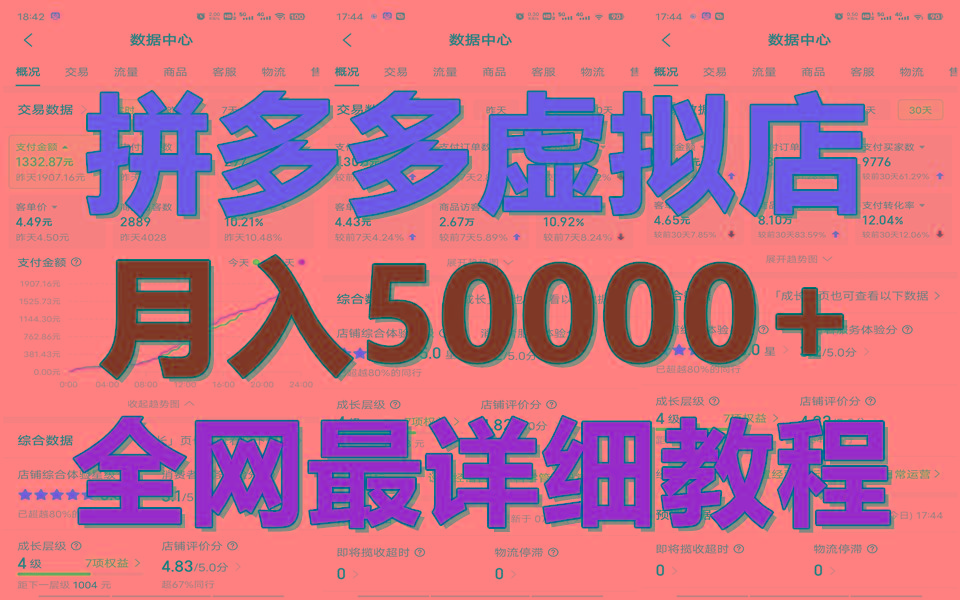 拼多多虚拟电商训练营月入50000+你也行，暴利稳定长久，副业首选-皮皮网创