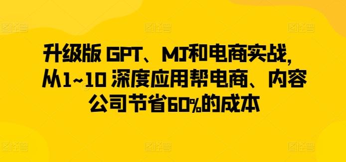 升级版 GPT、MJ和电商实战，从1~10 深度应用帮电商、内容公司节省60%的成本-皮皮网创
