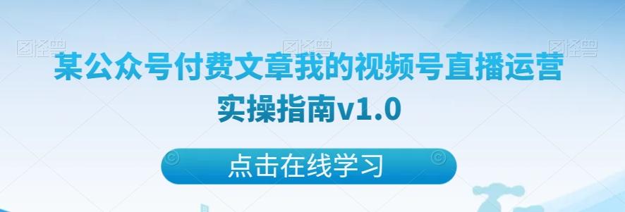 某公众号付费文章我的视频号直播运营实操指南v1.0-皮皮网创