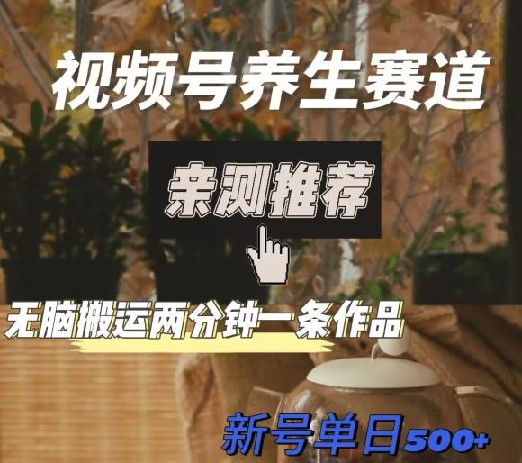 视频号养生赛道暴力掘金，无脑搬运，两分钟一条作品-新日单入500+-皮皮网创