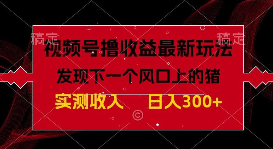 视频号分成计划最新玩法，单条作品几分钟制作完成,日入300+，过年前最后的冲刺-皮皮网创