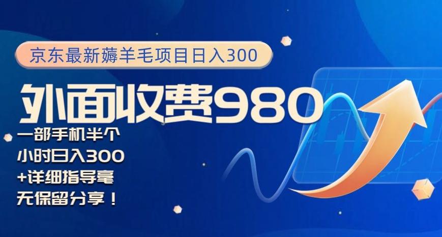 京东最新薅羊毛项目小白怎么做到日入300+一部手机半小时搞定-皮皮网创