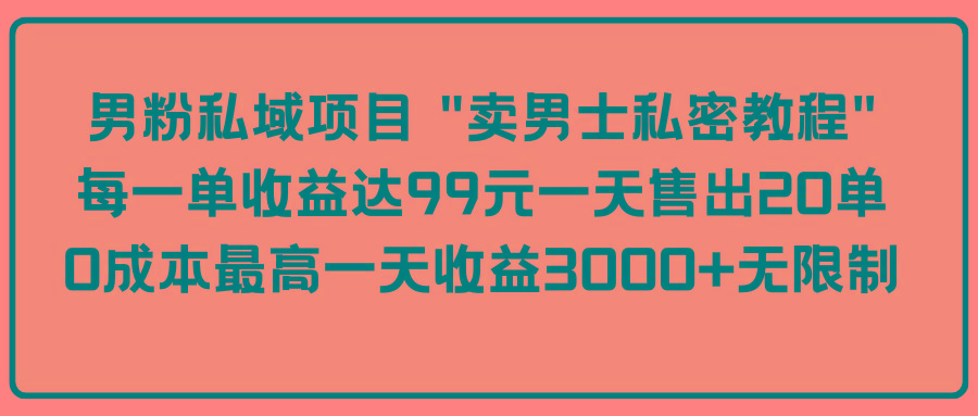 (9730期)男粉私域项目 “卖男士私密教程” 每一单收益达99元一天售出20单-皮皮网创