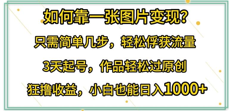 如何靠一张图片变现?只需简单几步，轻松俘获流量，3天起号，作品轻松过原创【揭秘】-皮皮网创