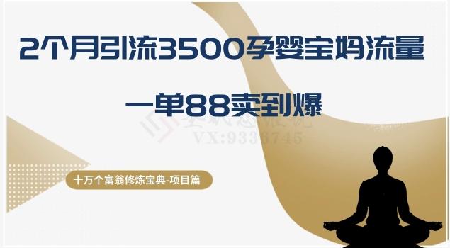 十万个富翁修炼宝典之13.2个月引流3500孕婴宝妈流量，一单88卖到爆-皮皮网创