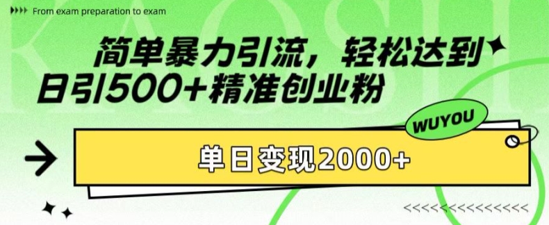 简单暴力引流，轻松达到日引500+精准创业粉，单日变现2k【揭秘】-皮皮网创