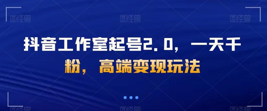 抖音工作室起号2.0，一天千粉，高端变现玩法【揭秘】-皮皮网创