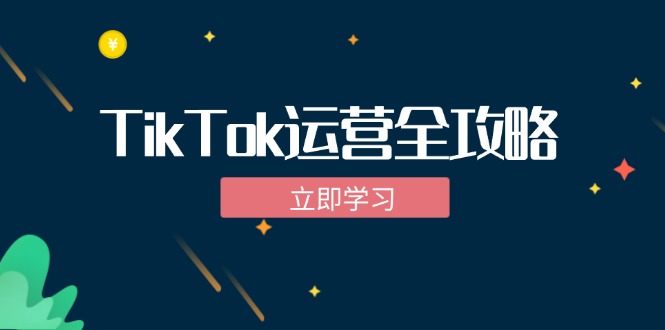 TikTok实战运营全攻略：从下载软件到变现，抖音海外版实操教程-皮皮网创