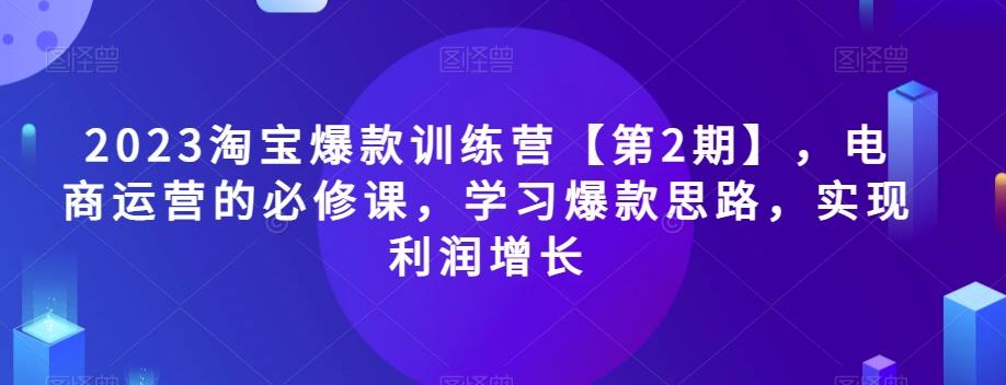 2023淘宝爆款训练营【第2期】，电商运营的必修课，学习爆款思路，实现利润增长-皮皮网创