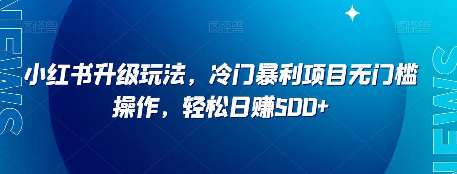 小红书升级玩法，冷门暴利项目无门槛操作，轻松日赚500+【揭秘】-皮皮网创