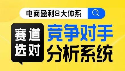 电商盈利8大体系·赛道选对，​竞争对手分析系统线上课-皮皮网创