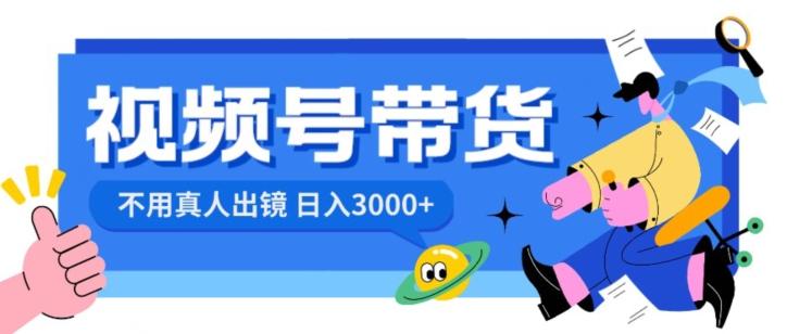 视频号带货，日入3000+，不用真人出镜-皮皮网创