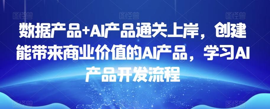 数据产品+AI产品通关上岸，创建能带来商业价值的AI产品，学习AI产品开发流程-皮皮网创