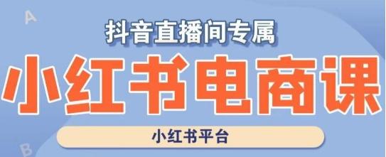 小红书电商高级运营课程，实操教学+案例分析-皮皮网创