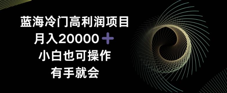 蓝海冷门高利润项目月入2000，小白也可操作有手就会-皮皮网创