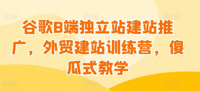 谷歌B端独立站建站推广，外贸建站训练营，傻瓜式教学-皮皮网创