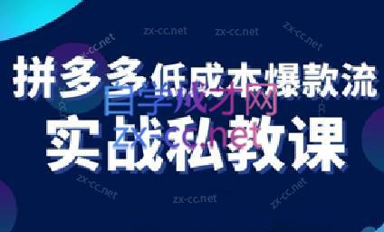 卡卡老师·拼多多低成本爆款流实战私教课-皮皮网创