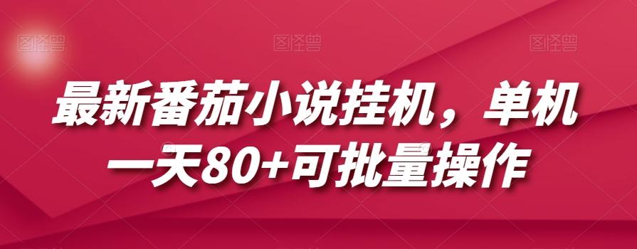 最新番茄小说挂机，单机一天80+可批量操作【揭秘】-皮皮网创