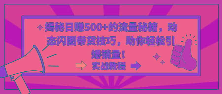 揭秘日赚500+的流量秘籍，动态闪图带货技巧，助你轻松引爆销量！-皮皮网创