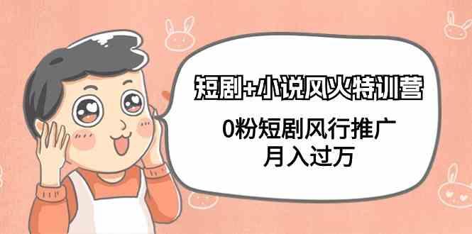 小说+短剧风火特训营，0粉短剧小说风行推广，实现月入过万-皮皮网创
