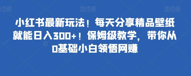 小红书最新玩法！每天分享精品壁纸就能日入300+！保姆级教学，带你从0基础小白领悟网赚-皮皮网创